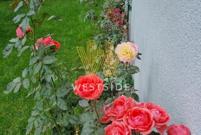 Casa de vanzare, mobilata si utilata in Dumbravita, Timisoara - 31