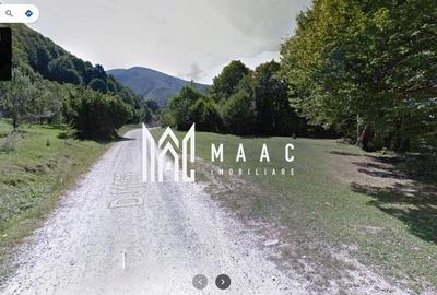 Teren Intravilan |2000Mp| Valea Avrigului - 3