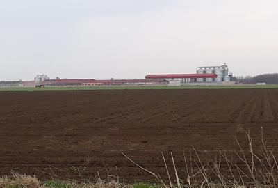 De vanzare Ferma Vaci - 17