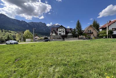 Lot intravilan Poiana Tapului. Vedere Bucegi Neobstructionata. - 8