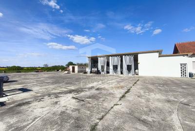 Casa cu 4 camere cu teren de 14,340 mp + platforma de beton cu hala - 10