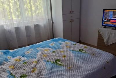 Doua camere, zona Brotacei. - 4
