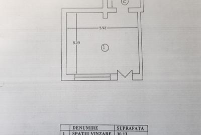 Proprietar Spatiu comercial - BAR zona Delfinului Pantelimon RENOVAT - 3