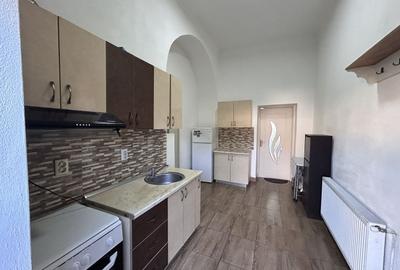 Apartament 1 camera central de inchiriat - 4