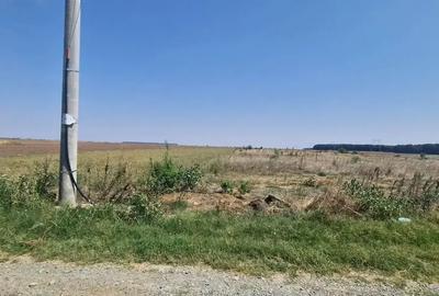 Teren intravilan de 1000 mp, în Brănești