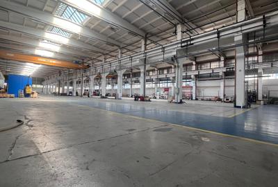 Hală industrială de închiriat – 3.739 mp, pod rulant, acces TIR-Astra - 3
