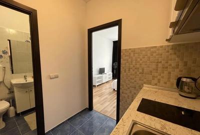Garsonieră, etajul 2/4, zona Podu Ros - 3