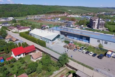 Hala industriala moderna de vanzare | Jucu de Mijloc | 731 mp utili | - 8