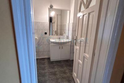 Proprietate cu doua case si anexe in Bors, Bihor - 10