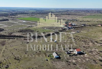 Teren intravilan Mosnita Noua 627mp+ constructie cadru metalic - 4