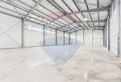 Spațiu industrial de 600mp de închiriat în zona Traian - 10