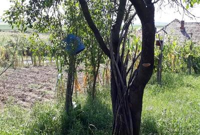 Casă independentă de vânzare - 11