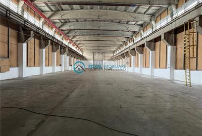 Royal Imobiliare - Inchiriere spatiu industrial zona Vest - 1