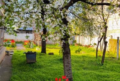 Casa cu teren 1400mp - 6