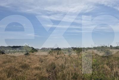 Teren intravilan de vanzare in Trivale - zona Magic | 500 mp - 1