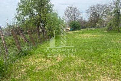 Teren de vanzare, 1001 mp, vatra veche, in Sanandrei, Timis - 1