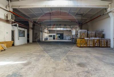 Hală industrială de închiriat - 5