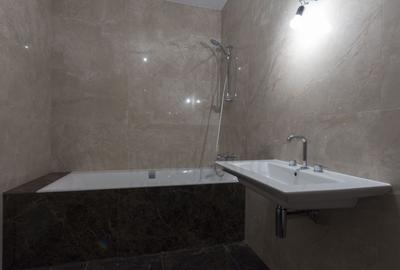 Luxury apartment | Penthouse Park View | 401 sm, terrace 70 sm - 15