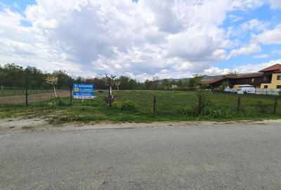 Teren mixt de vânzare Crasna Gorj, aproape de Rânca– 19.209 mp - 6
