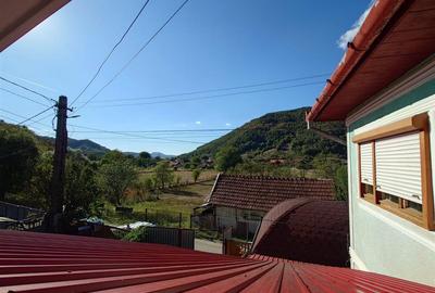 Casa si Teren Criscior - 12