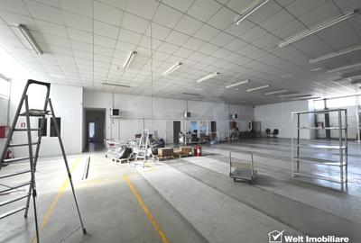 Depozit 600mp 2 rampe + birouri 180mp, 14 parcari, Lidl - Baciu - 3