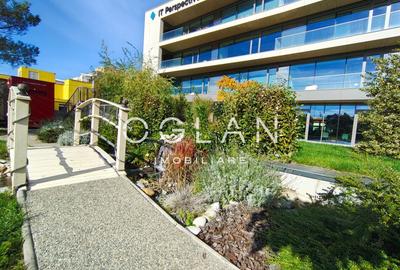 Spatii de birouri PREMIUM (nZEB) 320mp, ZONA CENTRALA - 11