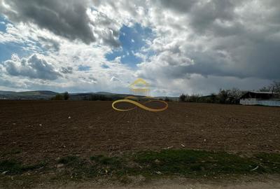 De vanzare doua loturi de teren in Fantanele-Bacau - 7