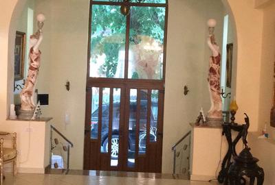 Ultracentral,vila S+P+E,faleza Dunarii,langa parc,Primaria Corabia,teren=1137mp - 19