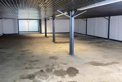 Hala pentru depozitare/productie, 810mp, zona Bulgaria - 2