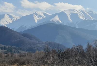Teren intravilan 2500mp  pe Valea Avrigului,optim casa de vacanta - 12