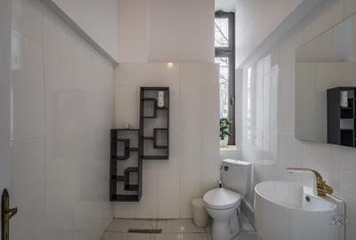 Business cu identitate: Apartament Unirii , demisol, parter si curte accesibila - 9