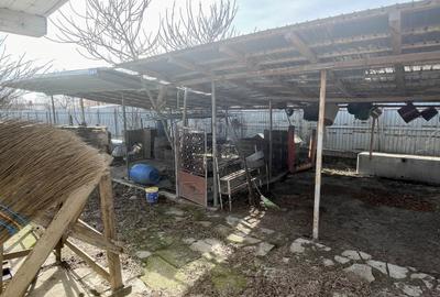 Mitreni-Valea Rosie-Acasa la Tara -4 camere-178 mp-LOT  1000 mp+Casa secundara - 41