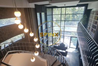 Vila superba, amenajata pentru clinica medicala | Colentina | 365 mp utili - 2