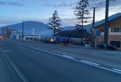 Teren Construcții intravilan de 4836 mp, în Mehadia