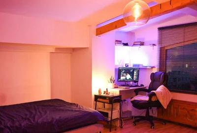 Garsoniera,Ozana,bl.2013,mansarda,DECOMANDATA,Amenajata,centrala,mobilata - 1