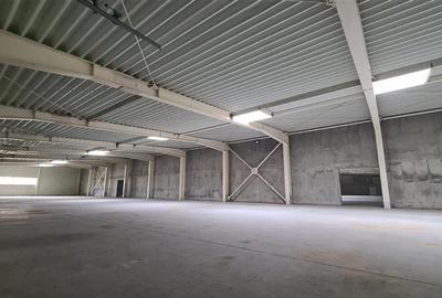 Hala productie de vanzare Timisoara - Exterior Nord, COMISION 0 - 3