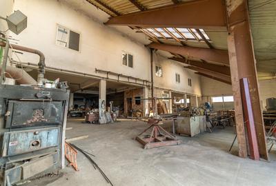 Hala industriala de vanzare in Biharia, Bihor, Romania - 6