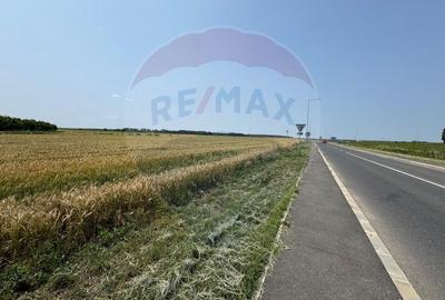 Teren ideal pentru dezvoltare mixta acces A0, Vadul Anei/ Branesti - 1