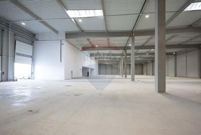 Hală de vânzare, Sc 7014mp, Zona Biharia - 8
