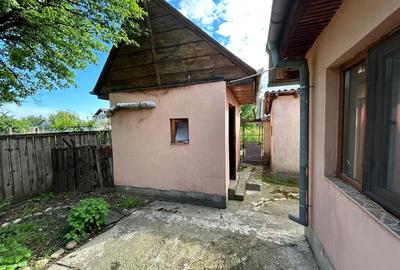 Casa parter de vanzare in comuna Vanatori, sat Mircestii Noi - 11