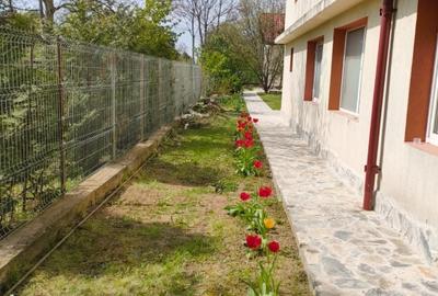 Vila Snagov, p+1,150mp, 3 dormitoare,aer conditionat,internet,cablu tv, piscina - 14