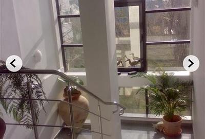 Inchiere apartament/birou  Herestrau - 10