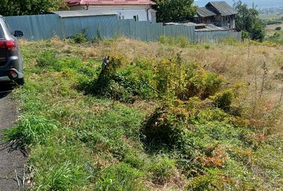 Teren vânzare Vâlcea - 1