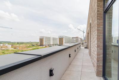 Apartament 3 camere terasa generoasa Pipera Voluntari - Catted Family - 12