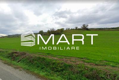 Teren extravilan 42000MP Seica Mare - Sibiu - 3
