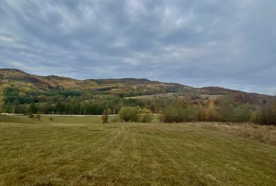 Teren la pădure, panoramic dealuri si păduri, curent si asfalt - 6