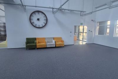Spatiu de birouri / comercial / show room Domenii - Parcul Copilului - 7