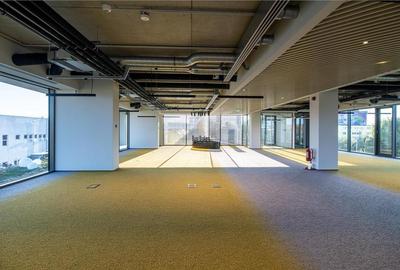 Spatii Birouri - 757 mp - Zona Centrala - 5