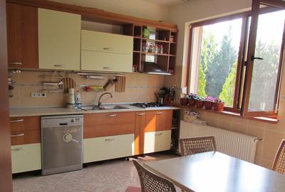 SNAGOV vila  spatioasa, curte amenajata, garaj, panouri fotovoltaice - 1