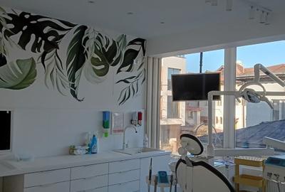 Proprietar vand doua vile in zona Calea Plevnei - 9